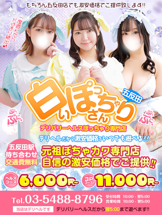 白いぽっちゃりさん 五反田店